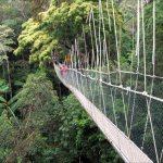 Taman Negara